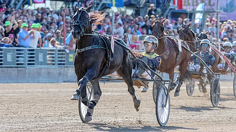 Castor The Star rattaillaan Mats E Djuse