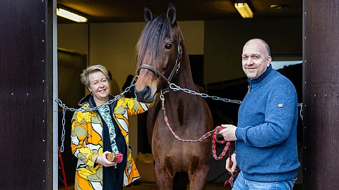 Trivian-kasvattajat Anne ja Teemu Punavaara jatkavat satsauksiaan siitostammoihin ja ostivat suvukkaan Callela Ladybirdin.