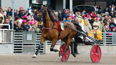 Clarissa ja Alessandro Gocciadoro