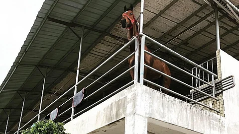 Ratsastuskoulun talli Kiinassa.