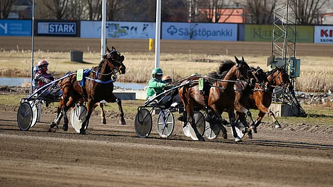 Vermo 12.4.2025 loppusuora