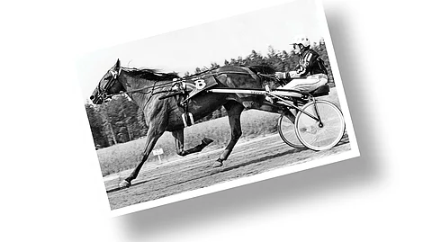 Kuva-arvoitus: tunnistatko tämän parivaljakon?