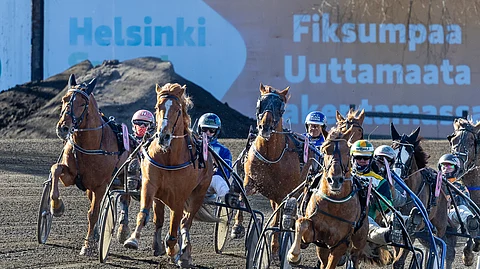 Hevosia, taustalla Helsingin kaupungin aitamainos Vermo