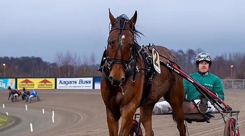 Stens Rubin on hallinnut Ruotsin kultadivareita talvella.