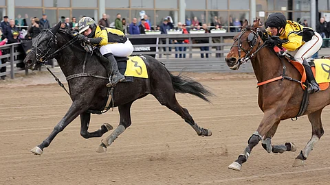 Seinäjoen montéssa mentiin alusta loppuun kaasu pohjassa. Lake's Edina korjasi potin.