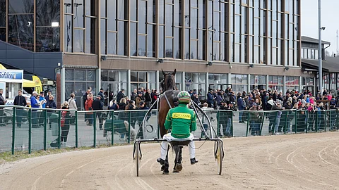 Kuvituskuva Seinäjoki Race 2025 yleisö