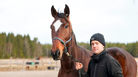 Pactolus täytti Kari Lehtosen odotuksen debyyttistartissaan Ylivieskassa. Emä Proserpine voitti Lehtoselta Ilkka-ajon.