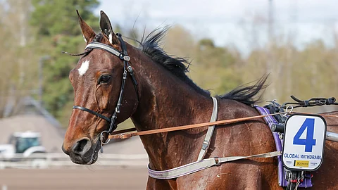 Global Withdrawl edustaa Suomea jo kolmatta kertaa Finlandia-Ajossa.