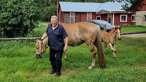 Kari Viitala, hänen ainoa siitostammansa Vislakka ja sen orivarsa Komero kesällä 2024. Vislakka on jälleen kantavana Kihiseestä, ja jos kaikki menee hyvin, Komeron täyssisaruksesta tulee Viitalan kasvateista viimeinen.