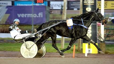 Hell Of A Dance ja Riku Salminen