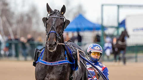 Crepe Match starttaa Finlandiaan radalta yksi