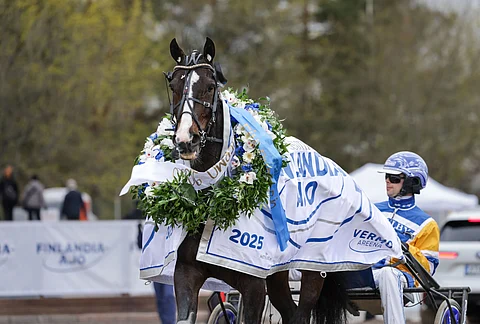 Finlandia-voittaja Mellby Jinx