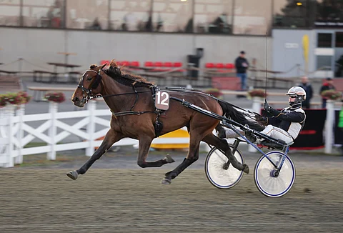 Overhead Panel voitti Kuopiossa Toto75-lähdön radalta 12.