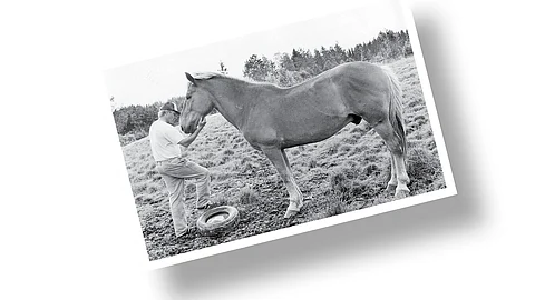 Kuva-arvoitus: Tunnistatko kuvan parivaljakon?