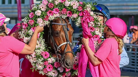 Horsy Dream ravihevonen