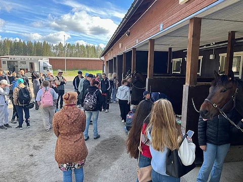 Mikkelissä seiskaluokkalaiset viettivät Hevospäivää.