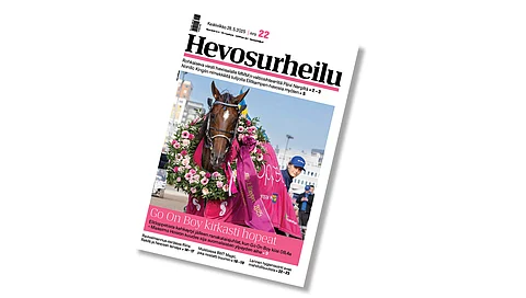 Go On Boy juoksi itsensä Hevosurheilun kanteen.