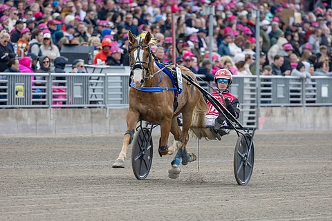 Stallone sijoittui Elitkampenissa kakkoseksi.