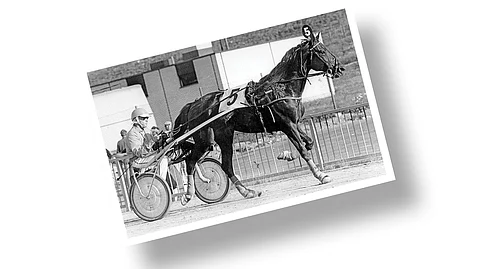 Kuva-arvoitus – Tunnistatko kuvan hevosen ja ihmisen?