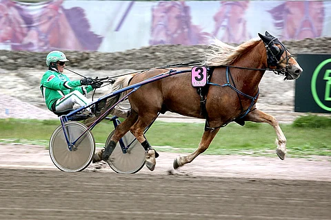 Kojolan Costi rattaillaan Ari Moilanen