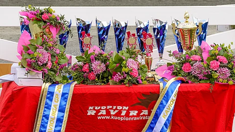 Kuopion keskiviikkoisissa Toto75-raveissa isoimmat palkintorahat jaetaan 3-vuotiaiden suomenhevosten Varsakunkku-finaalissa.