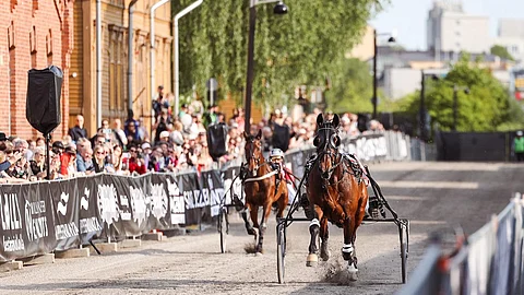 Lappeenrannan Cityravit