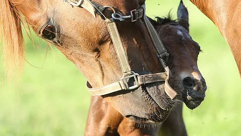 Kesätauon jälkeen tulevaisuustyöryhmän työ on jatkunut.