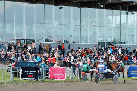 Sunnuntain Toto5-ravit ravattiin Joensuussa.