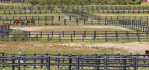 Asetuksessa otetaan kantaa esimerkiksi tarhaukseen.