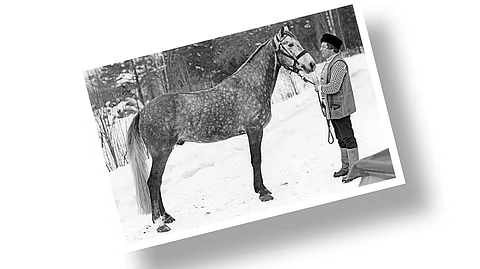 Kuva-arvoitus: Tiedätkö ketkä ovat kuvassa?