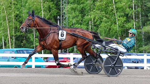 Massimo Hoist ja Hannu Torvinen