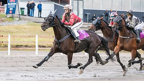 Picardie viiletti kurakelissä Lappee Grand Slamin voittoon.