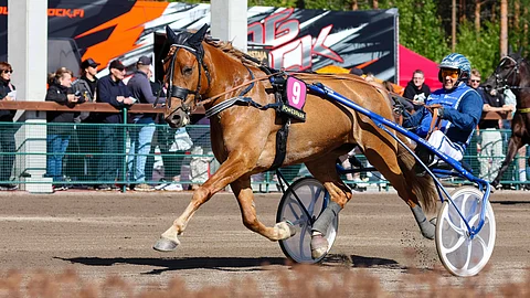Huisi Hippu ja Kim Åkerlund