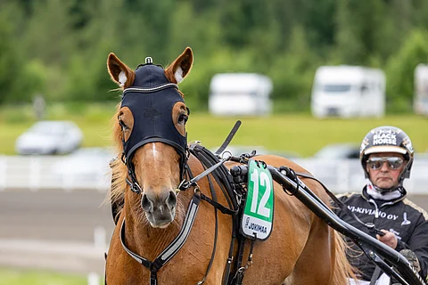 Lumi-Oosan tuloskuntoon haetaan nousujohteisuutta.