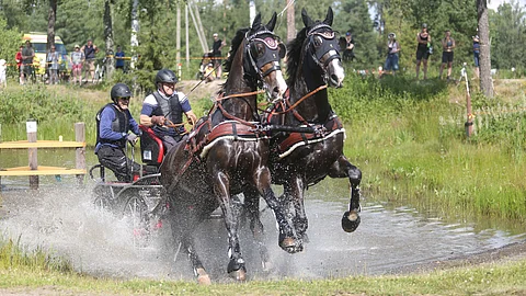 Jarmo Tauriaisen näyttävä hollantilainen veljespari olivat luokan ainoat lähtijät. Groomina Lauri Lehtiö.