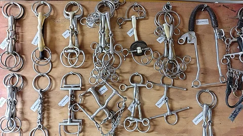 Kuolaimista on tullut Teräväisen mukaan bisnes. Erilaisia kuolainyhdistelmiä on satoja. Kuva Keskimäen hevostilan opetusseinältä.