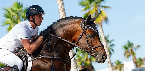 Diarado's Boy on kiinnostanut tammanomistajia. Kuvassa Nicolas Pedersenin satulan alla.