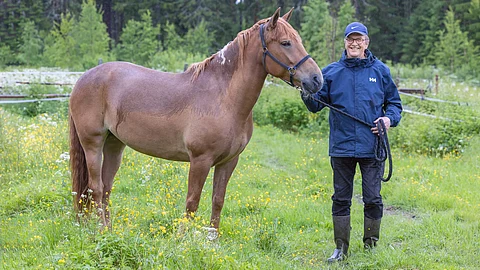 8-vuotiasta tammaa Varjosia valmentaa entinen europarlamentaarikko Samuli Pohjamo, jonka elämään hevoset ovat kuuluneet aina.