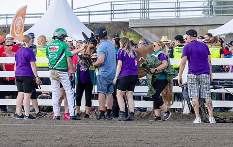 Välkker nousi Kuninkuusravien Pikkukunkun haaverin jälkeen omin jaloin pystyyn. Juuso Kangas ja Ari Moilanen toimihenkilöiden kanssa hevosen ympärillä.