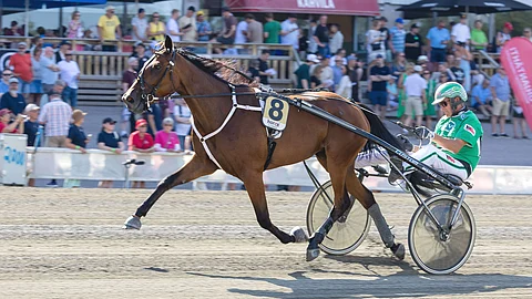 Emiliana, Ari Moilanen