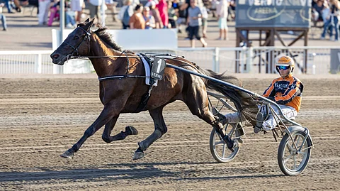 Madame De Vieki rattaillaan Tommi Kylliäinen.