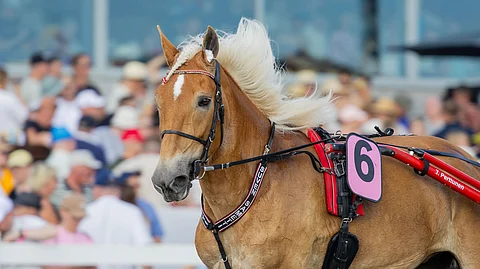 Mahdollisimman vähillä varusteilla kilpaileminen on yleistynyt viime vuosien aikana. Kuvassa Suven Sametti.