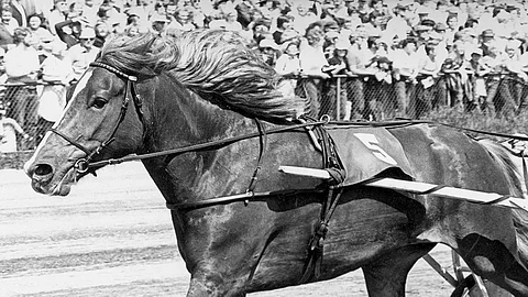 Tytön-Toive ja Mauno Tammi olivat vauhdikas valjakko, joka teki monta suomenennätystä.