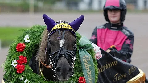 Isla Ruhkalan ohjastama Tuutu Lulla nappasi Ponikriteriumin voiton.