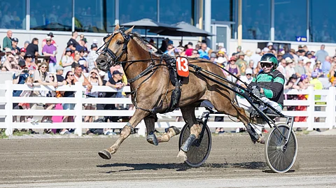Harjan Valtias ja Jukka-Pekka Niskanen valloittivat Oulun Äimäraution tämän kesän Kuninkuusraveissa.