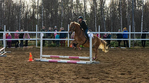 Tinja Myllynen ja Manimani hakivat kilpailukokemusta Ivalon esteratsastuskisoista.
