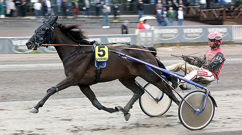 Stonecapes Yam voitti uransa toisen startin Santtu Raitalan ohjastamana Vermossa täyden voltin tuloksella 16,4. Tamma on kehittynyt sen jälkeen hurjasti.