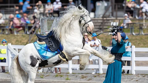 Alena Matveeva ja Muumi
esiintyivät viime kesänä Mikkelissä St Michel -raveissa.