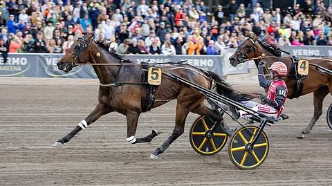 Romanov Comery, Santtu Raitala