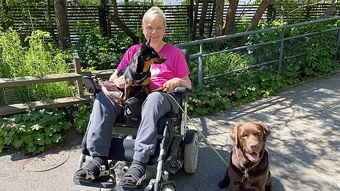 Lancashirenkarjakoira Easy on toinen Maarit Lariolan koirista. Hän kertoo, että koirien merkitys on valtava henkisen hyvinvoinnin kannalta.